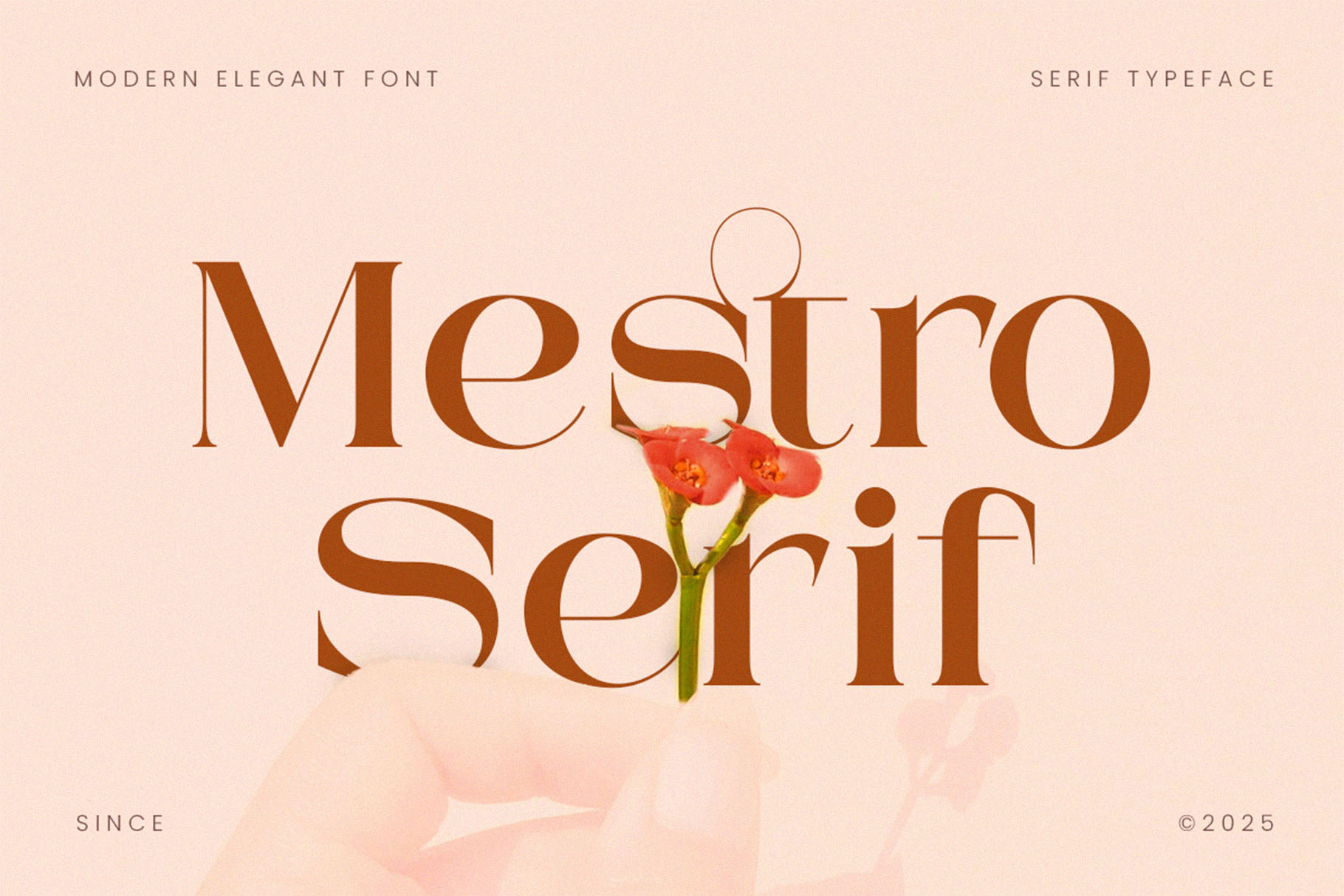 Mestro Serif || Modern Ligature Font